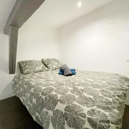 Hypercentre 7 Climatise * Toulouse