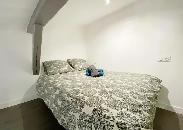 Hypercentre 7 Climatise * 圖盧茲